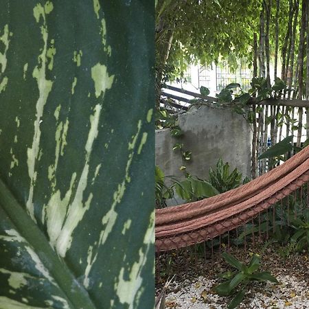 Wabi Sabi Garden Guesthouse By Amara Concepts. Tulum Pueblo Buitenkant foto