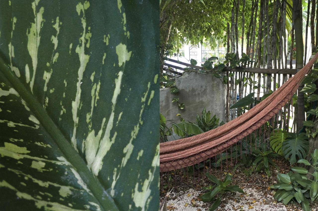 Wabi Sabi Garden Guesthouse By Amara Concepts. Tulum Pueblo Buitenkant foto