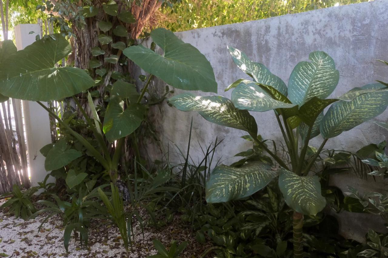 Wabi Sabi Garden Guesthouse By Amara Concepts. Tulum Pueblo Buitenkant foto